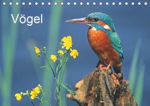 Vögel (Tischkalender 2019 DIN A5 quer) von McPHOTO