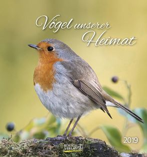 Vögel unserer Heimat (PK) 234219 2019 von Korsch Verlag