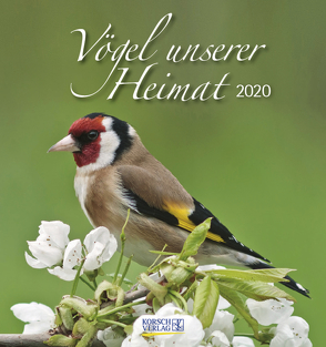 Vögel unserer Heimat 2020 von Korsch Verlag