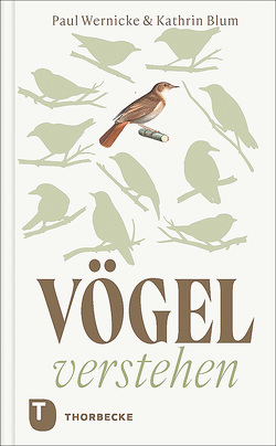 Vögel verstehen von Blum,  Kathrin, Wernicke,  Paul