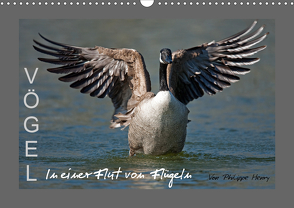 VÖGEL (Wandkalender 2021 DIN A3 quer) von Henry,  Philippe