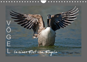 VÖGEL (Wandkalender 2022 DIN A4 quer) von Henry,  Philippe