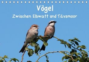 Vögel zwischen Elbwatt und Tävsmoor (Tischkalender 2018 DIN A5 quer) von Springer,  Heike