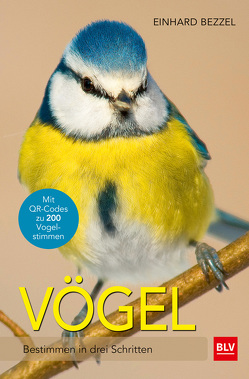 Vögel von Bezzel,  Einhard