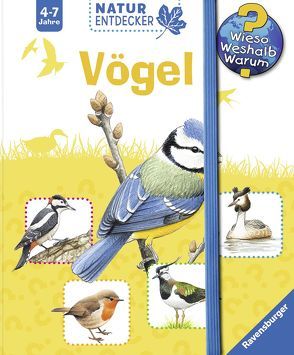 Vögel von Lenz,  Angelika, Walentowitz,  Steffen