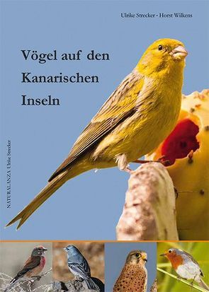 Vögel auf den Kanarischen Inseln von Strecker,  Ulrike, Wilkens,  Horst