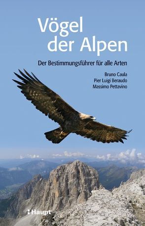 Vögel der Alpen von Beraudo,  Pier Luigi, Caula,  Bruno, Hass,  Joan, Pettavino,  Massimo