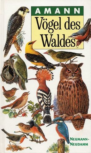 Vögel des Waldes von Amann,  Gottfried