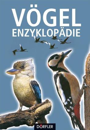 Vögel-Enzyklopädie von Bejcek,  Vladimir, Stastny,  Karel