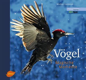 Vögel – Magische Momente von Varesvuo,  Markus