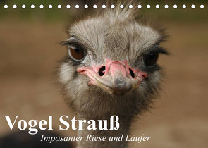 Vogel Strauß. Imposanter Riese und Läufer (Tischkalender 2023 DIN A5 quer) von Stanzer,  Elisabeth