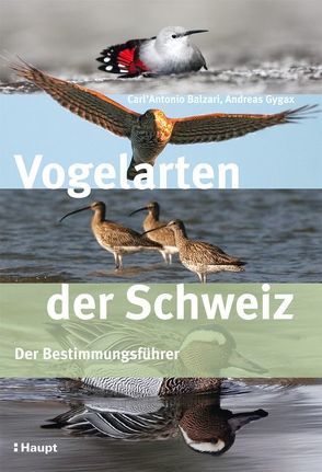 Vogelarten der Schweiz von Balzari,  Carl'Antonio, Gygax,  Andreas