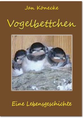 Vogelbettchen von Könecke,  Jan