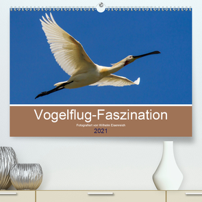 Vogelflug-Faszination (Premium, hochwertiger DIN A2 Wandkalender 2021, Kunstdruck in Hochglanz) von Eisenreich,  Wilhelm