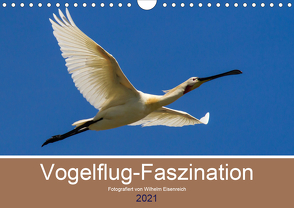 Vogelflug-Faszination (Wandkalender 2021 DIN A4 quer) von Eisenreich,  Wilhelm