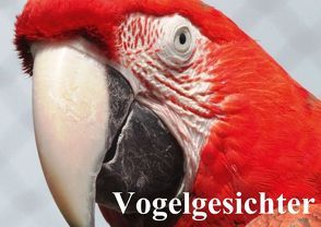 Vogelgesichter (Posterbuch DIN A2 quer) von Stanzer,  Elisabeth