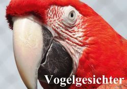 Vogelgesichter (Tischaufsteller DIN A5 quer) von Stanzer,  Elisabeth