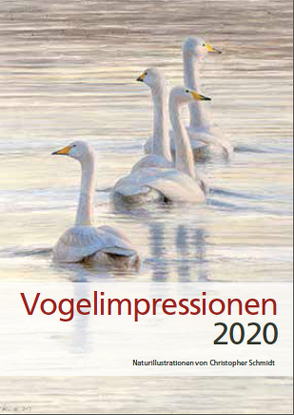 Vogelimpressionen 2020 von Schmidt,  Christopher