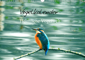 Vogelkalender (Wandkalender 2021 DIN A3 quer) von Fofino