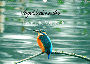 Vogelkalender (Wandkalender 2022 DIN A3 quer) von Fofino