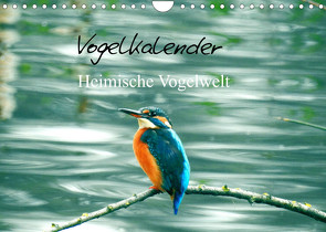 Vogelkalender (Wandkalender 2023 DIN A4 quer) von Fofino