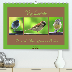 Vogelporträts – Heimische Vögel auf meinem Balkon (Premium, hochwertiger DIN A2 Wandkalender 2021, Kunstdruck in Hochglanz) von Schimmack,  Claudia