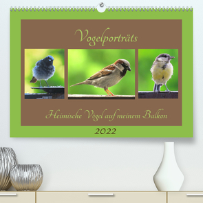 Vogelporträts – Heimische Vögel auf meinem Balkon (Premium, hochwertiger DIN A2 Wandkalender 2022, Kunstdruck in Hochglanz) von Schimmack,  Claudia