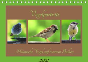 Vogelporträts – Heimische Vögel auf meinem Balkon (Tischkalender 2021 DIN A5 quer) von Schimmack,  Claudia