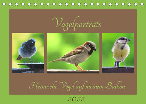 Vogelporträts – Heimische Vögel auf meinem Balkon (Tischkalender 2022 DIN A5 quer) von Schimmack,  Claudia