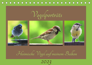 Vogelporträts – Heimische Vögel auf meinem Balkon (Tischkalender 2023 DIN A5 quer) von Schimmack,  Claudia