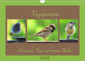 Vogelporträts – Heimische Vögel auf meinem Balkon (Wandkalender 2022 DIN A4 quer) von Schimmack,  Claudia