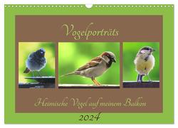 Vogelporträts – Heimische Vögel auf meinem Balkon (Wandkalender 2024 DIN A3 quer), CALVENDO Monatskalender von Schimmack,  Claudia