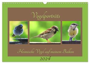 Vogelporträts – Heimische Vögel auf meinem Balkon (Wandkalender 2024 DIN A3 quer), CALVENDO Monatskalender von Schimmack,  Claudia