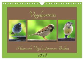 Vogelporträts – Heimische Vögel auf meinem Balkon (Wandkalender 2024 DIN A4 quer), CALVENDO Monatskalender von Schimmack,  Claudia