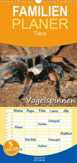 Familienplaner Vogelspinnen (Wandkalender 2022 , 21 cm x 45 cm, hoch) von Mielewczyk,  Barbara