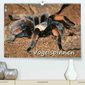 Vogelspinnen (Premium, hochwertiger DIN A2 Wandkalender 2022, Kunstdruck in Hochglanz) von Mielewczyk,  Barbara