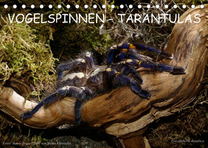 Vogelspinnen – Tarantulas (Tischkalender 2023 DIN A5 quer) von Trapp,  Benny