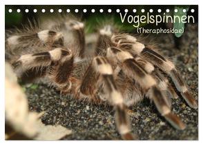 Vogelspinnen (Theraphosidae) (Tischkalender 2024 DIN A5 quer), CALVENDO Monatskalender von Mielewczyk,  Barbara