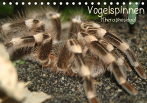 Vogelspinnen (Theraphosidae)CH-Version (Tischkalender 2021 DIN A5 quer) von Mielewczyk,  Barbara