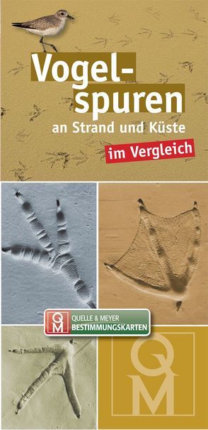 Vogelspuren an Strand und Küste im Vergleich