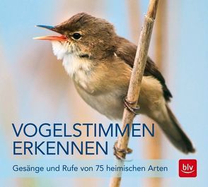 Vogelstimmen erkennen / CD von Schulze,  Andreas