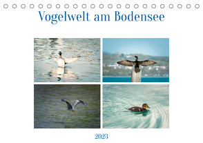 Vogelwelt am Bodensee 2023 (Tischkalender 2023 DIN A5 quer) von kaufmann Fotos,  Ralf