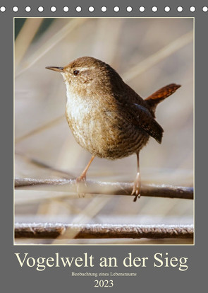 Vogelwelt an der Sieg (Tischkalender 2023 DIN A5 hoch) von Irle,  D.