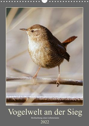 Vogelwelt an der Sieg (Wandkalender 2022 DIN A3 hoch) von Irle,  D.