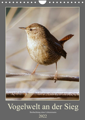 Vogelwelt an der Sieg (Wandkalender 2022 DIN A4 hoch) von Irle,  D.