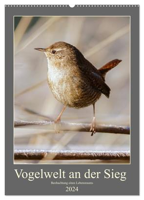 Vogelwelt an der Sieg (Wandkalender 2024 DIN A2 hoch), CALVENDO Monatskalender von Irle,  D.