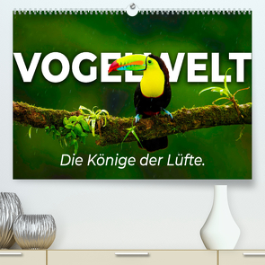 Vogelwelt – Die Könige der Lüfte. (Premium, hochwertiger DIN A2 Wandkalender 2022, Kunstdruck in Hochglanz) von SF