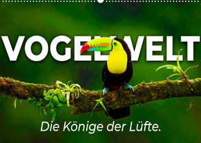 Vogelwelt – Die Könige der Lüfte. (Wandkalender 2022 DIN A2 quer) von SF