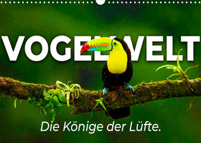 Vogelwelt – Die Könige der Lüfte. (Wandkalender 2022 DIN A3 quer) von SF