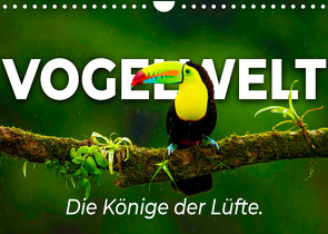 Vogelwelt – Die Könige der Lüfte. (Wandkalender 2022 DIN A4 quer) von SF